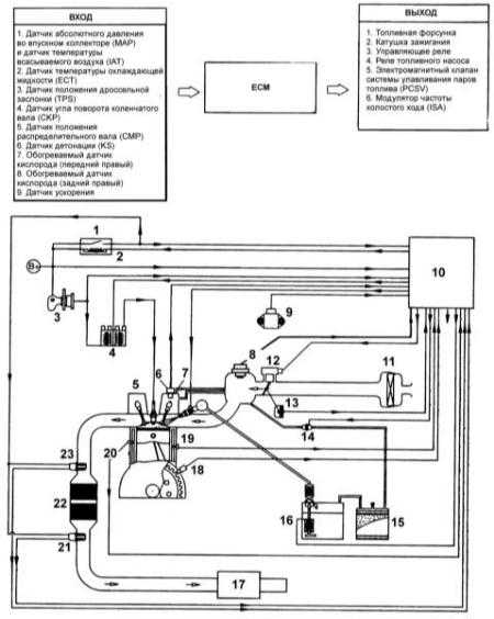  Система улавливания паров топлива Hyundai Elantra