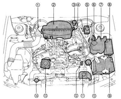  Общие сведения о настройках и регулировках Subaru Forester