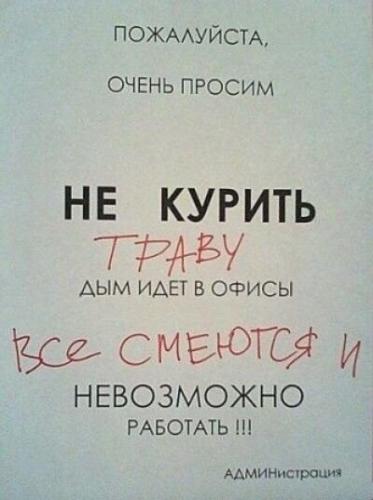 трава.jpg