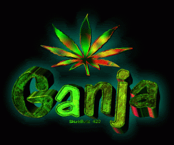 ganja-1.gif